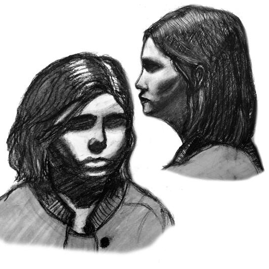 Tanuki Hero Visual Dev.